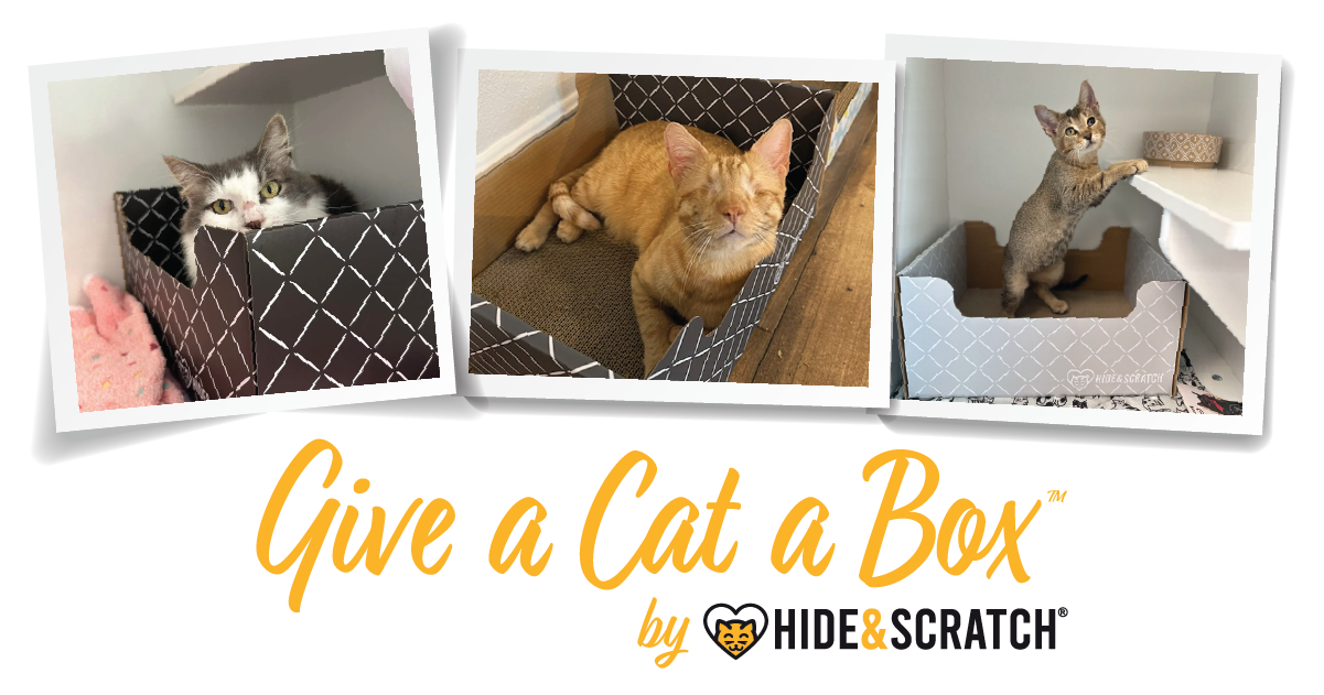 Give a Cat a Box — by Hide & Scratch