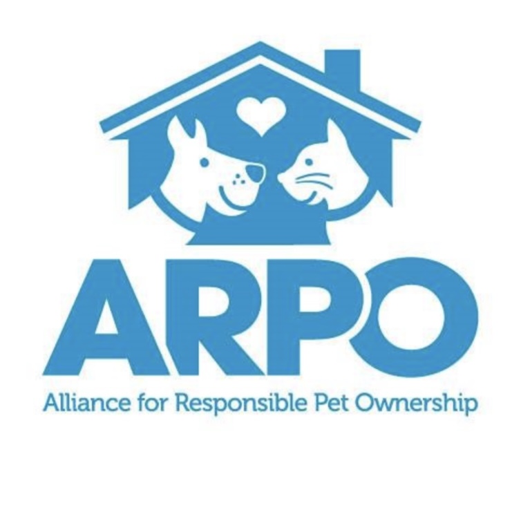 Cats at ARPO (Alliance for Responsible Pet Ownership, Inc.)