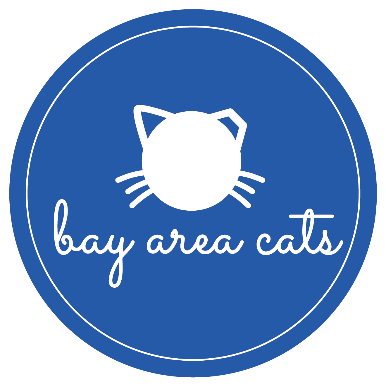 Cats at Bay Area Cats