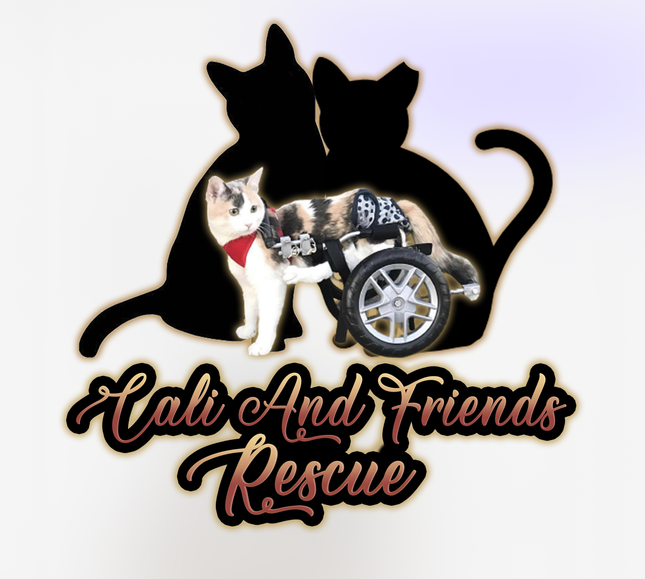 Cats at Cali and friends rescue
