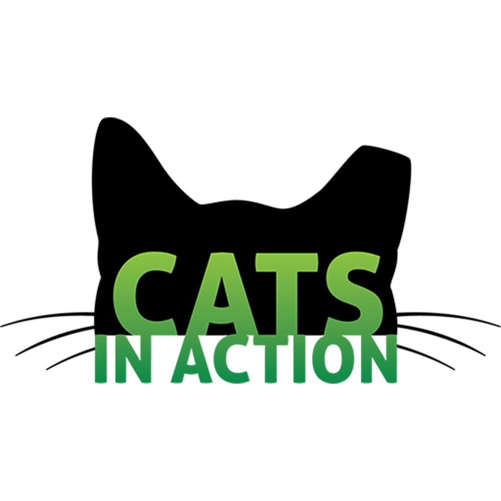 Cats at Cats In Action