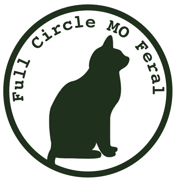 Cats at Full Circle MO Feral