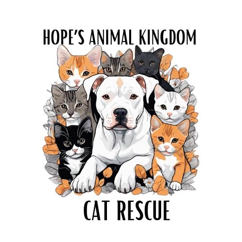 Cats at Hope's Animal Kingdom