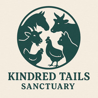 Cats at Kindred Tails Sanctuary Co