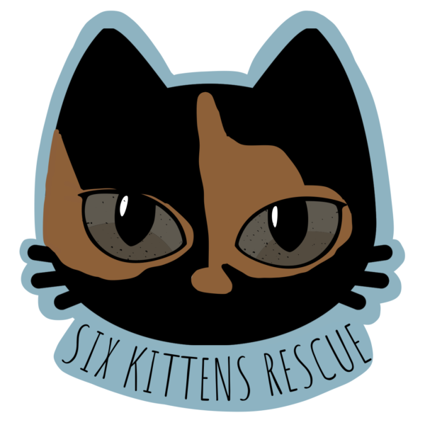 Cats at Six Kittens Rescue
