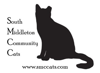Cats at South Middleton Community Cats