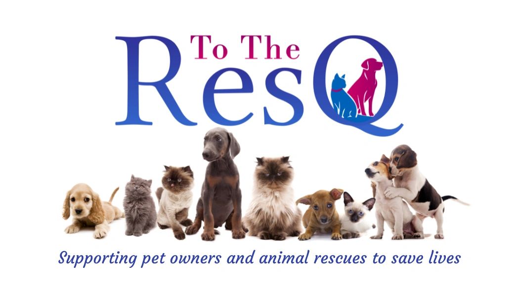 Cats at To The ResQ