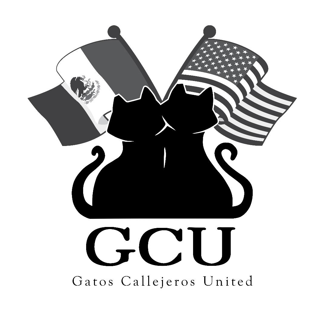 Cats at Gatos Callejeros United